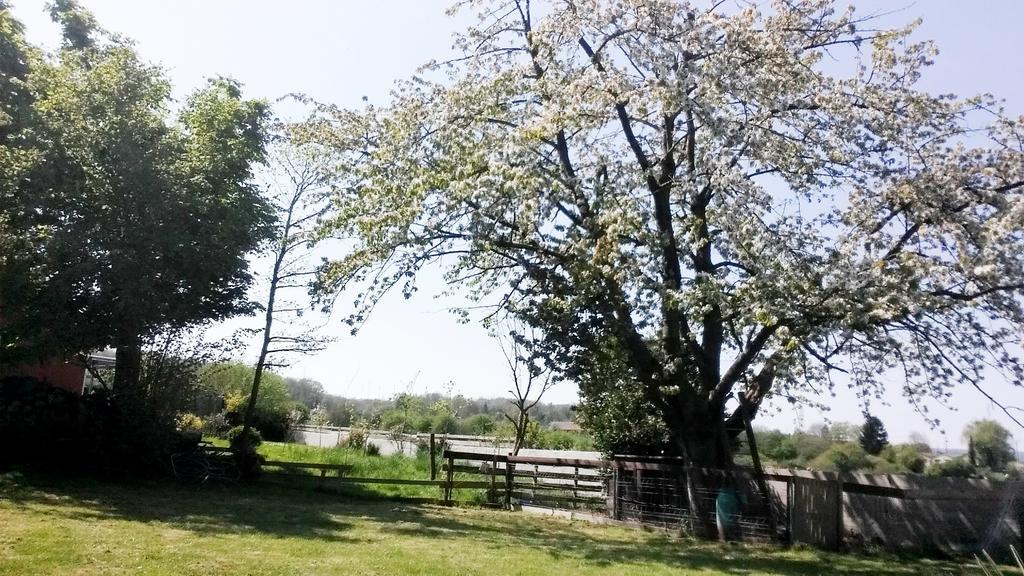 Gite Labradors De Bailly - Giverny Сен-Пьер-ла-Гаренн Экстерьер фото